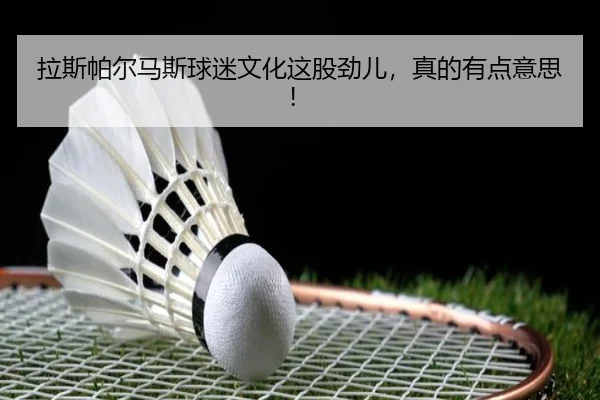 la-si-pa-er-ma-si-qiu-mi-wen-hua-zhe-gu-jin-er-zhen-de-you-dian-yi-si-2-792.jpg