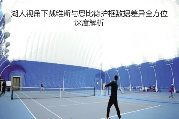 湖人视角下戴维斯与恩比德护框数据差异全方位深度解析
